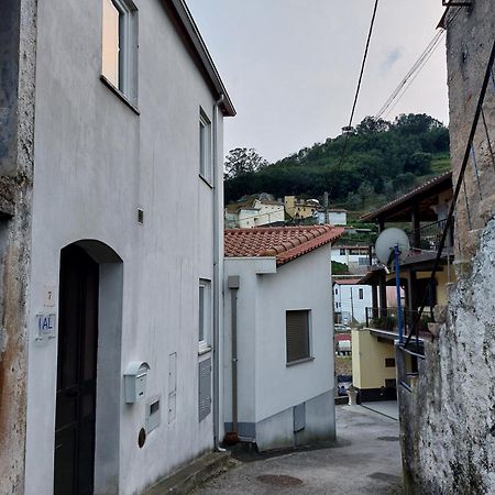 Casa Vale Do Rio Villa Penacova Exterior foto